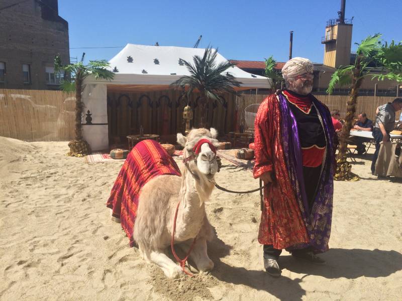prestation chameau oriental